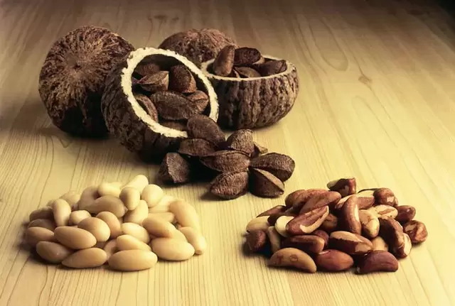 Brazil nut for strength