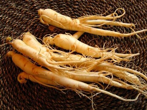 Ginseng root to increase strength after 60