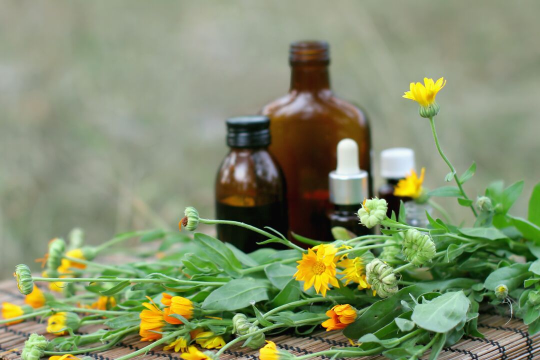 Elecampane - folk remedy for sexual excitement with reduced potency