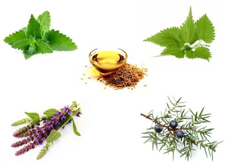 Mint, nettle, thyme, juniper and linen oil