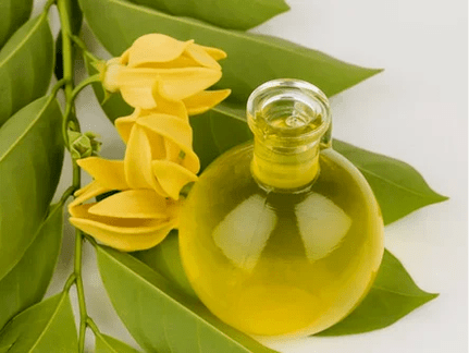 Aromatherapy to improve potentials
